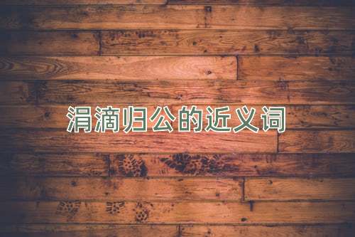涓滴归公的近义词