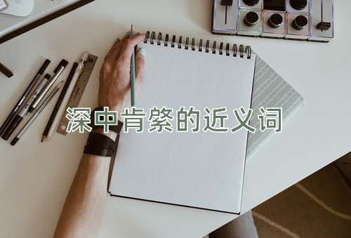 深中肯綮的近义词