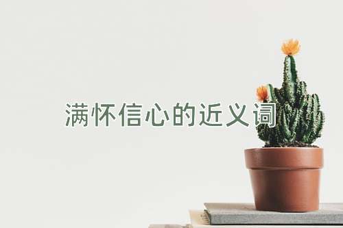 满怀信心的近义词