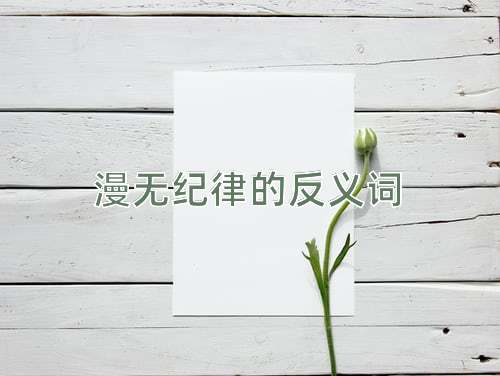 漫无纪律的反义词