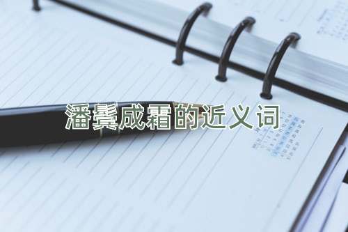 潘鬓成霜的近义词