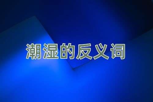 潮湿的反义词