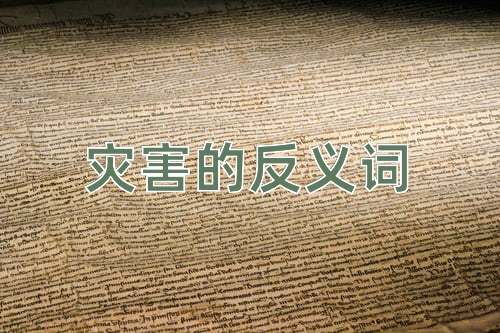 灾害的反义词