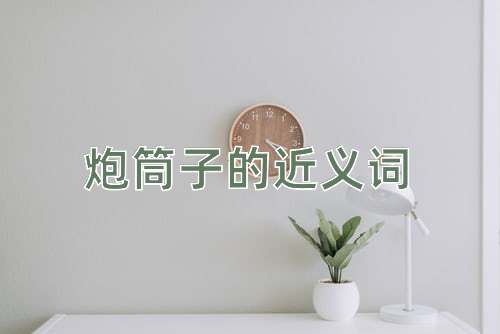 炮筒子的近义词