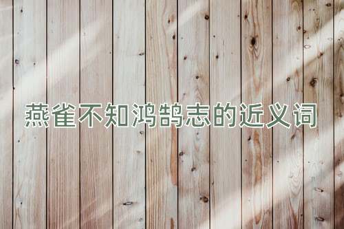 燕雀不知鸿鹄志的近义词