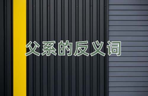 父系的反义词