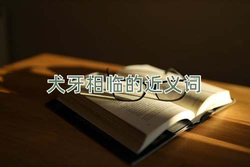 犬牙相临的近义词