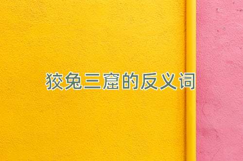 狡兔三窟的反义词