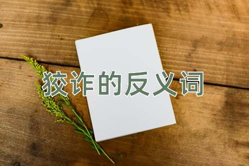 狡诈的反义词