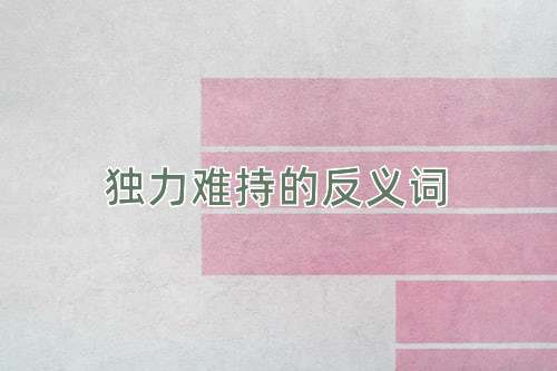 独力难持的反义词