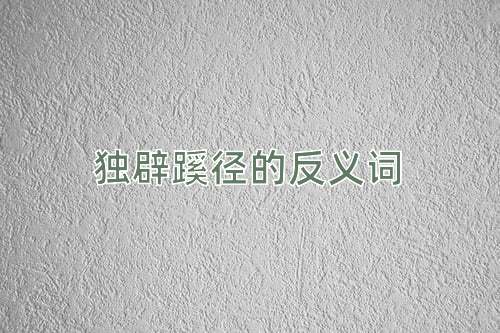 独辟蹊径的反义词