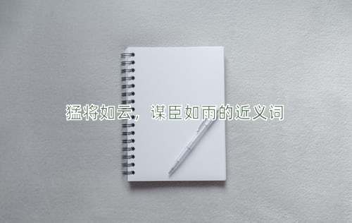 猛将如云，谋臣如雨的近义词
