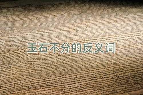 玉石不分的反义词