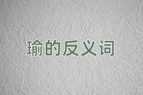 瑜的反义词
