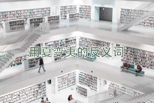 用夏变夷的反义词