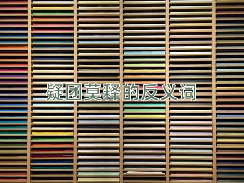 疑团莫释的反义词