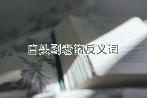 白头到老的反义词