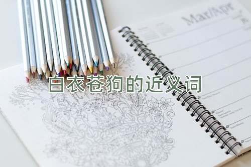 白衣苍狗的近义词