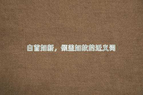 白首如新，倾盖如故的近义词