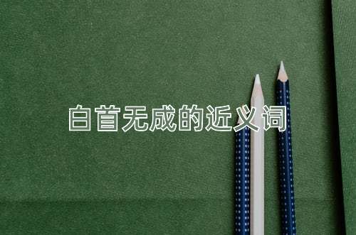 白首无成的近义词