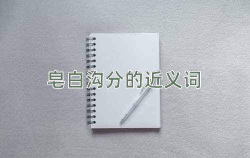 皂白沟分的近义词