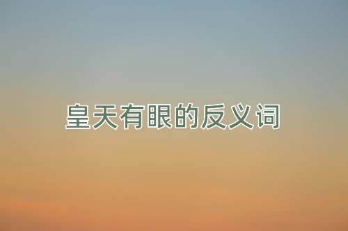 皇天有眼的反义词