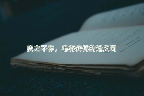 皮之不存，毛将安傅的近义词