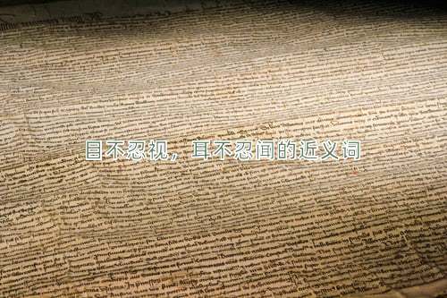 目不忍视，耳不忍闻的近义词