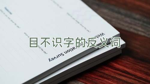 目不识字的反义词