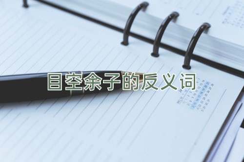 目空余子的反义词