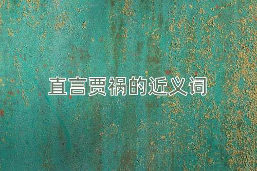 直言贾祸的近义词