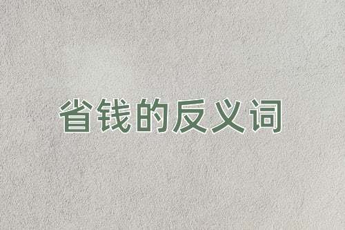 省钱的反义词