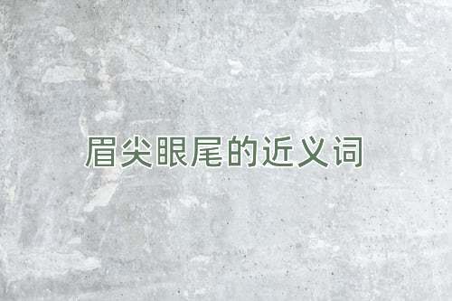 眉尖眼尾的近义词