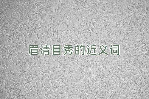 眉清目秀的近义词