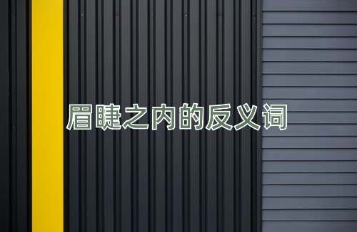 眉睫之内的反义词