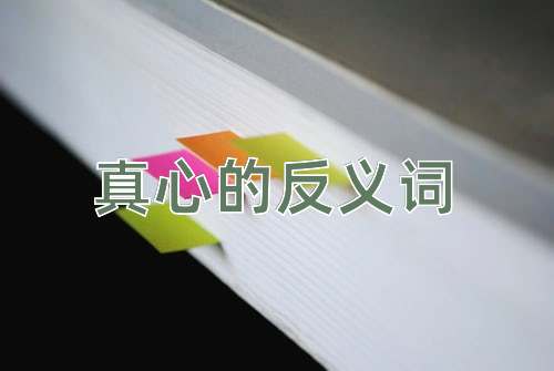 真心的反义词