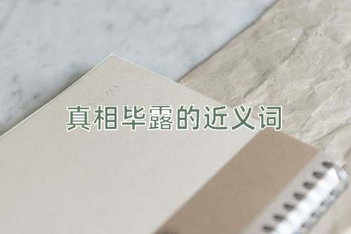 真相毕露的近义词