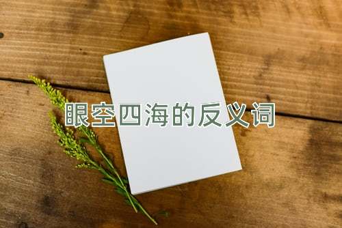 眼空四海的反义词