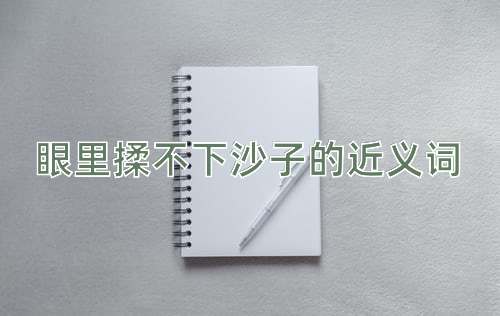 眼里揉不下沙子的近义词