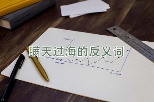 瞒天过海的反义词