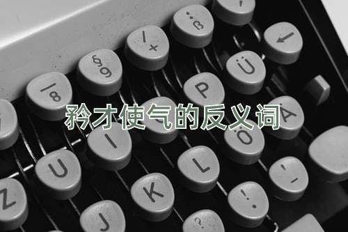 矜才使气的反义词