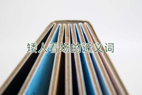 矮人看场的近义词