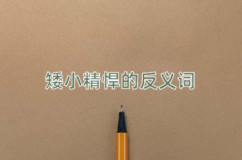 矮小精悍的反义词