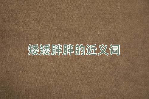 矮矮胖胖的近义词