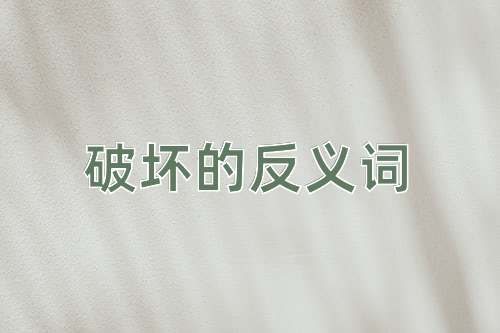 破坏的反义词