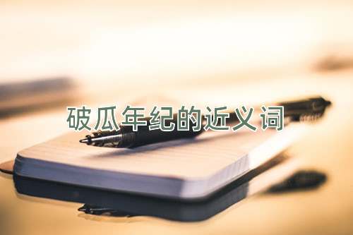 破瓜年纪的近义词