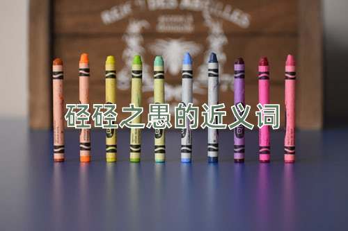 硁硁之愚的近义词