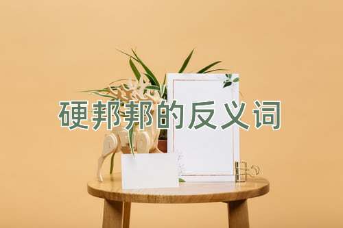 硬邦邦的反义词