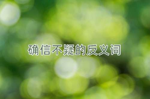 确信不疑的反义词