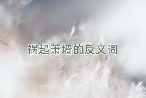 祸起萧墙的反义词